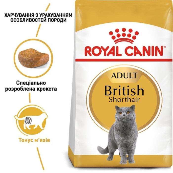 АКЦІЯ Royal Canin British Shorthair сухий корм для котів породи британська короткошерста 4 кг + наповнювач Catsan 5л