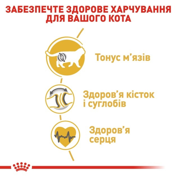 АКЦІЯ Royal Canin British Shorthair сухий корм для котів породи британська короткошерста 4 кг + наповнювач Catsan 5л