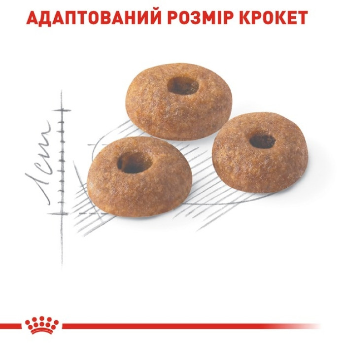 АКЦІЯ Royal Canin Fit 32 сухий корм для котів 2 кг + 12 паучів