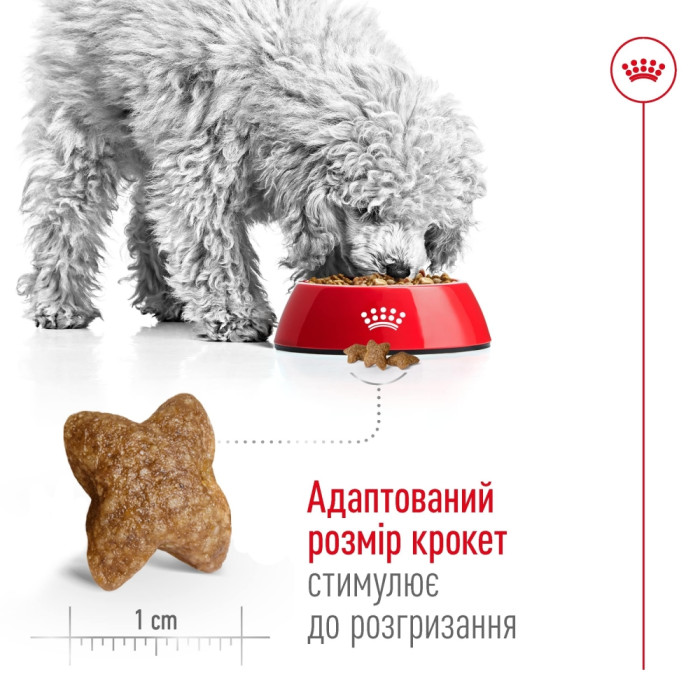 АКЦІЯ Royal Canin Mini Adult сухий корм для дорослих собак дрібних порід 4 кг + миска у подорож