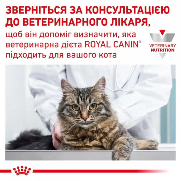 АКЦІЯ Royal Canin Instinctive вологий корм для котів на кожен день 9+3 до 85 г