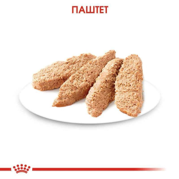 АКЦІЯ Royal Canin Kitten wet in loaf вологий корм для кошенят 9+3 до 85 г