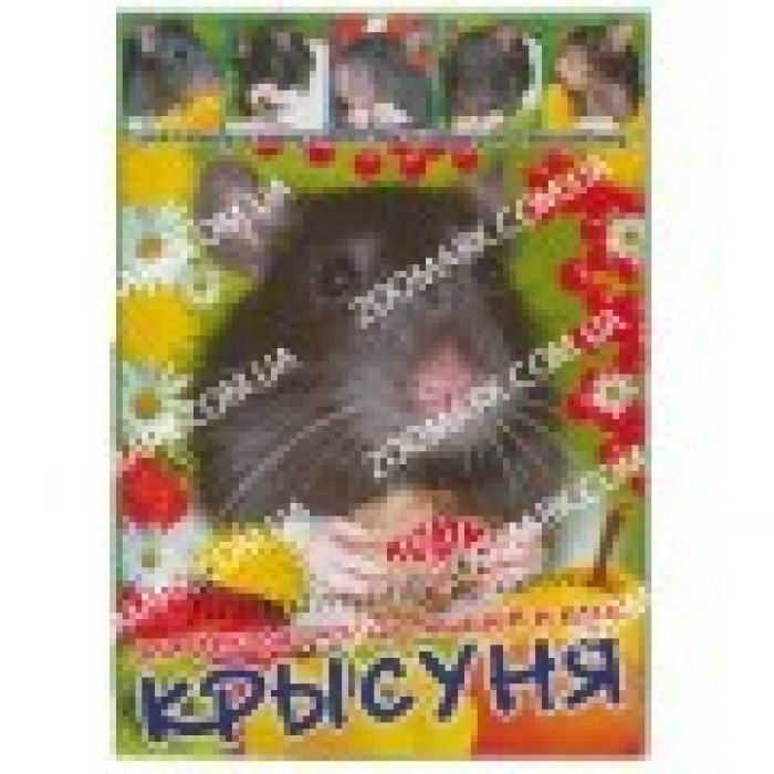 Корм для гризунів Щуруня 500 г ВІМ Корм для грызуновКрысуня 500гр ВІМ
