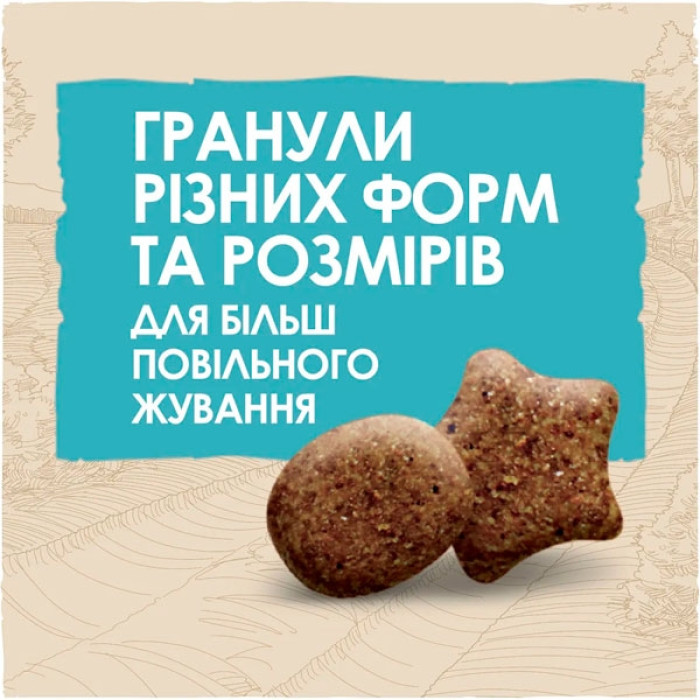 Dog Chow Puppy Large Breed Puppy сухий корм для цуценят великих порід з індичкою, 14 кг