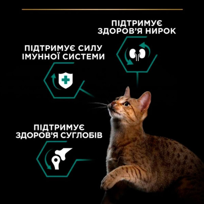 PRO PLAN Adult сухий корм для дорослих котів з куркою та рисом 1,5 кг
