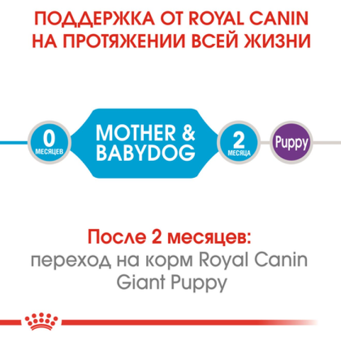 Royal Canin Giant Starter (Роял Канін Гігант Стартер) 1 кг