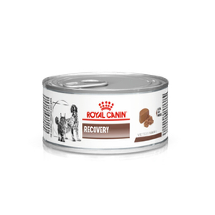 Royal Canin Recovery (Роял Канін Рекавері) консерви для собак і кішок 195 г 195г