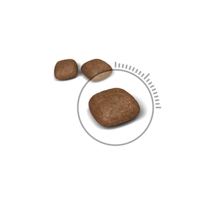 Royal Canin URINARY СARE для профілактики захворювань сечовивідних шляхів 400 г