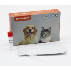 Тест RapidVet-H Feline для котів для визначення групи крові