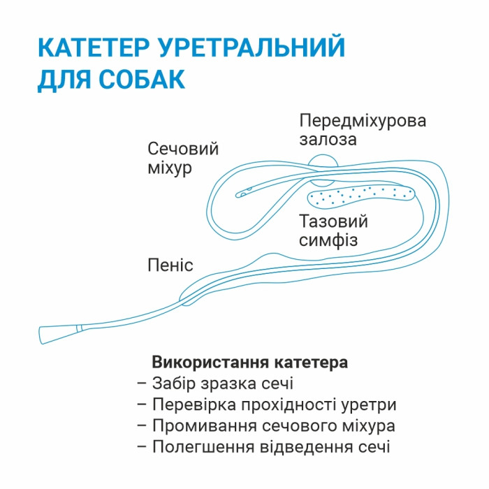 Катетер уретральний для собак атравматичний 4Fr 1,3500мм