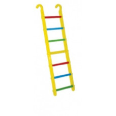 Сходи для папуг збірна Україна