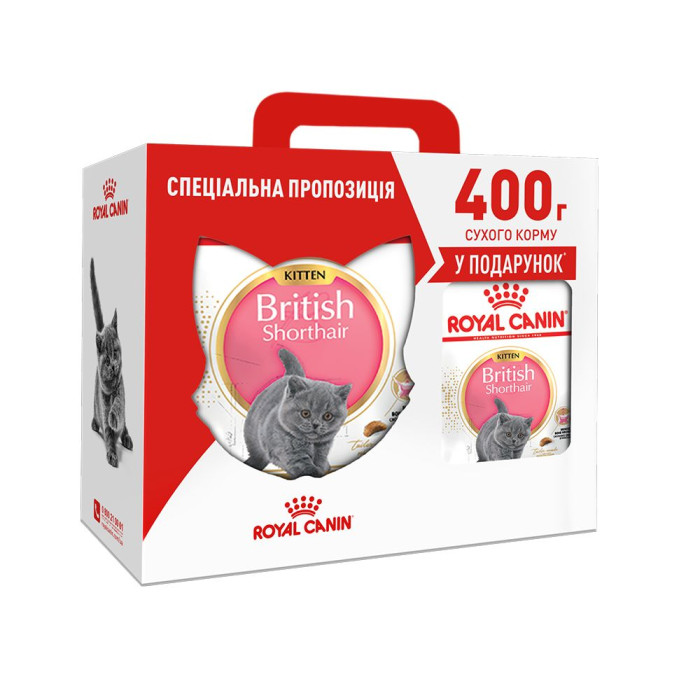 Акція сухий корм Royal Canin British Shorthair Kitten 2кг + 400г в подарунок